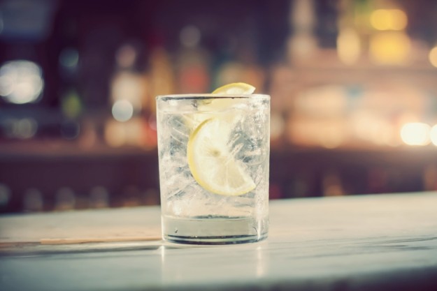 Gin-Tasting Berlin – Freunde trinken zusammen Gin Tonic