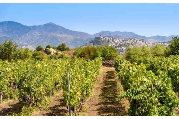 Wine tasting Munich – glass of wine by sea at sunset