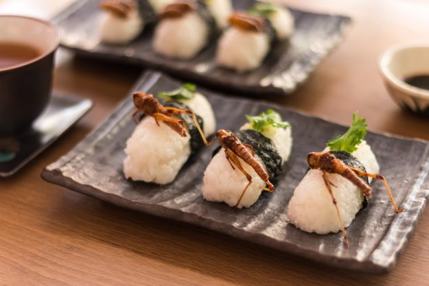 Insekten-Kochkurs Mannheim – Sushi mit Heuschrecken