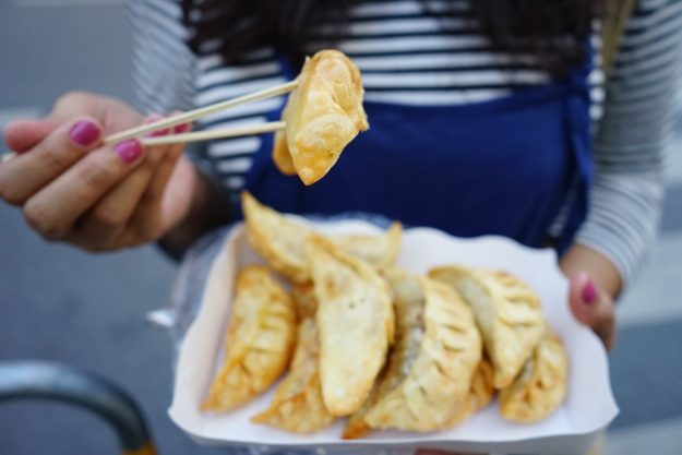 Japan-Kochkurs Hannover – Gyoza