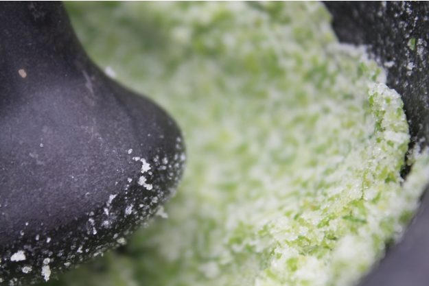 Wildkräuter-Kochkurs München – Kräuter aus dem Mörser