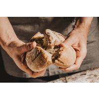 Backkurs Augsburg – frisches Brot wird gebrochen