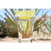 Tequila & Mezcal Tasting mit Food Pairing in München