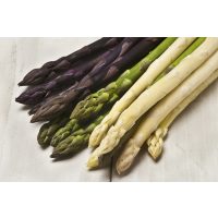 Kochkurs München –  dreierlei Spargel