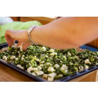 Kräuterwanderung München – Kräuter  finden und einsammeln 