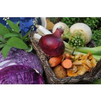 Teambuilding Kochkurs München - Herbstgemüde