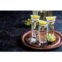 Virtuelle Reise Mexiko Tequila