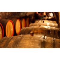 Weinprobe München – Weinkeller mit Fässern