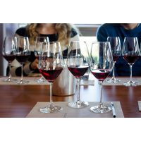 Weinseminar München – dreimal Rotwein testen