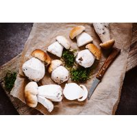 Wildkräuter-Kochkurs München – gesammelte Pilze