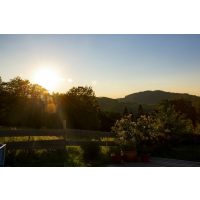 Kräuterwanderung München – idyllischer Ausblick 