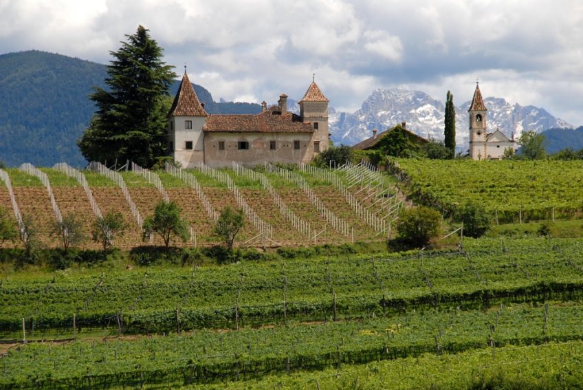 Virtuelle Reise Südtirol Genussreise nach Südtirol@Home für 2