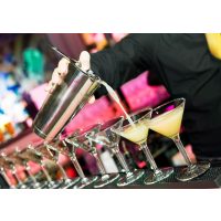 Cocktail-Tasting-Heidelberg  Cocktails mixen lernen