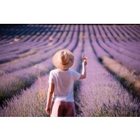 Genussreise Provence – Frau in Lavendelfeld mit Wein