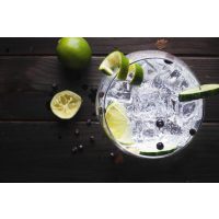 Gin-Tasting Dortmund: Gin-Drink mit Limetten