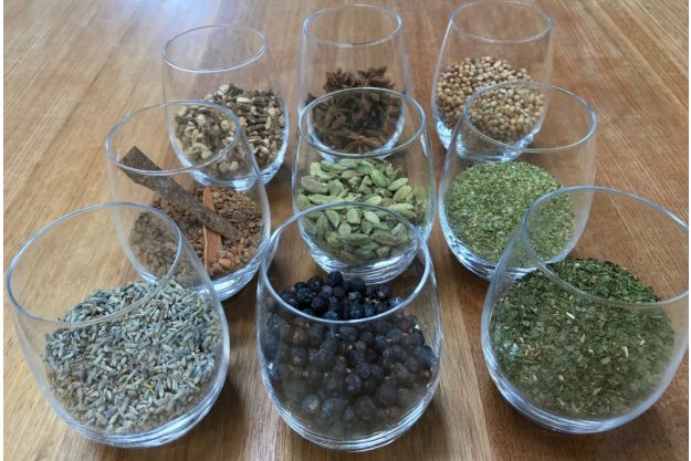 Gin-Tasting Mainz – Botanicals