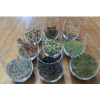 Gin-Tasting Mainz – Botanicals