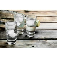 Gin-Tasting Mainz – Gin-Kostproben