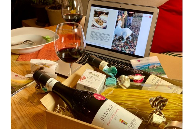 virtuelle Reise ins Piemont Weinstöcke