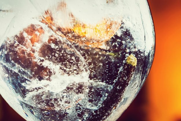 Gutschein Gin-Tasting – Gin mit Eiswürfeln