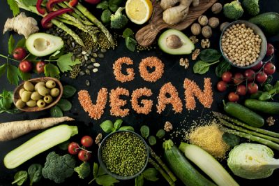 veganer Kochkurs Dresden Go Vegan