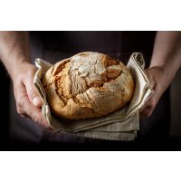 Backkurs-Augsburg- Brot selbst herstellen