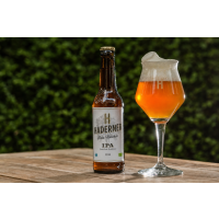 Braukurs München - India Pale Ale im Glas