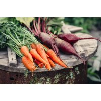 Regionaler Kochkurs Hannover – Wurzelgemüse