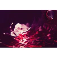 weinprobe-wuerzburg Wein und Krimis genießen