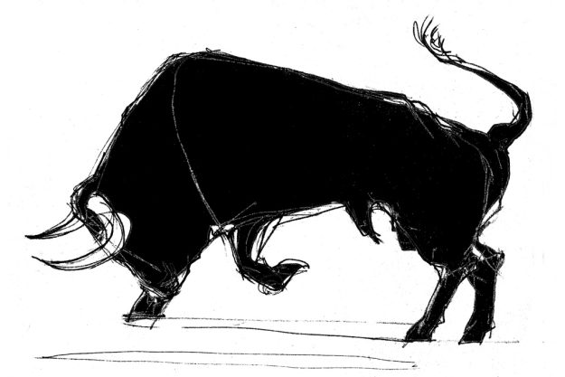 Erlebnisdinner Ingolstadt – Stier
