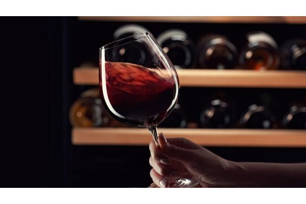 Wein-Tasting Hamburg: edler Rotwein im Glas