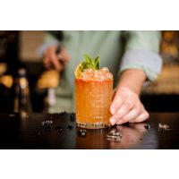 Cocktailkurs Hamburg - Sex on the beach