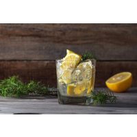 Gin-Tasting Frankfurt-Hofheim  Gin Drinks