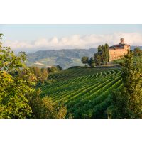 Incentive Kochkurs Hamburg - französische Weinberge