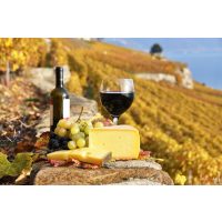 Käsetasting-at-Home-Käseweinberg