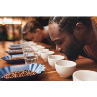 Kaffee-Seminar Hamburg – Sorten und Aromen