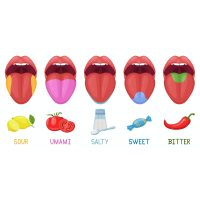 Kochkurs Hamburg – Umami