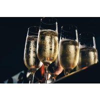 Schaumwein-Tasting Hamburg – Sektgläser
