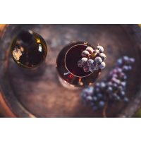 Wein-Tasting Hamburg: aus tollen Trauben wird guter Wein