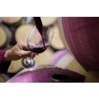 Wein-Tasting Hamburg – Rotwein vom Fass