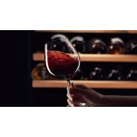 Wein-Tasting Hamburg: edler Rotwein im Glas