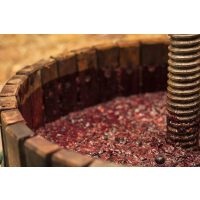 Wein-Tasting Hamburg: Weinherstellung möglichst natürlich