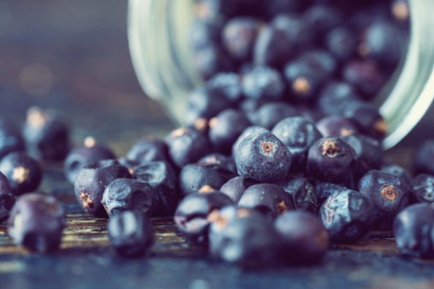 Gin-Tasting-Gutschein – Wacholderbeeren
