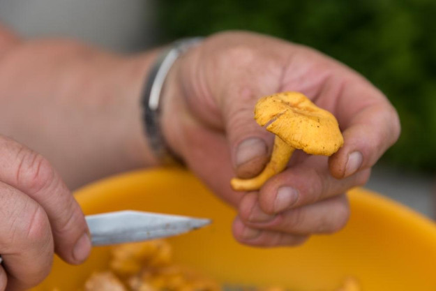 Kochkurs München: Pfifferlinge haben Saison