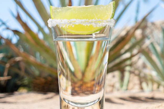 Tequila & Mezcal Tasting mit Food Pairing in München