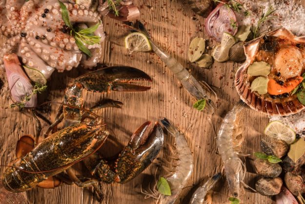 Erlebnisdinner Stuttgart – Fisch und Meeresfrüchte