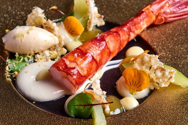 Erlebnisdinner Stuttgart – Hummer-Gericht