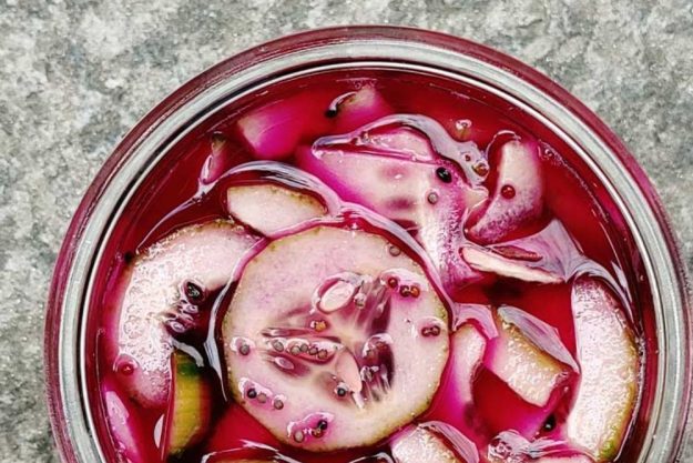 Fermentations-Kurs Glonn – fermentierte Zwiebeln