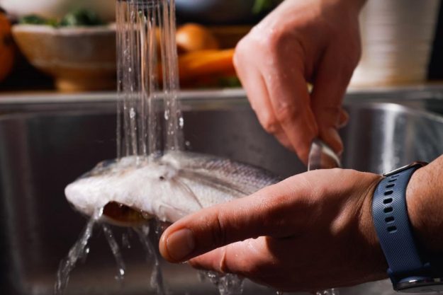 Fisch-Kochkurs Nürnberg – Fisch waschen