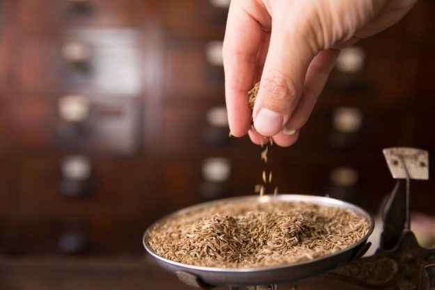 Gewürzseminar Dresden – Kümmel getrocknet